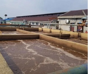 出水氨氮大于進水氨氮，怎么回事？