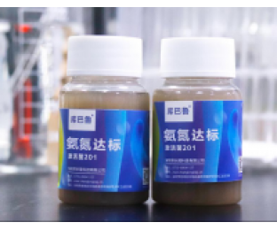 生化系統崩潰，氨氮超標，我該怎么辦?