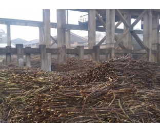 廣西來(lái)賓某堿氯法甘蔗渣制漿廠除COD、脫色案例分享